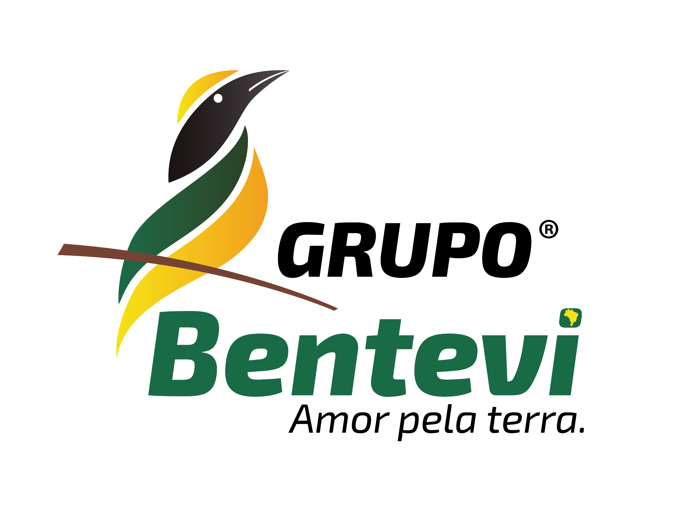 Grupo Bentevi